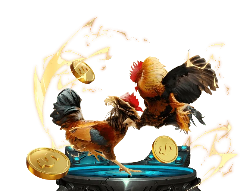 Xu hướng thị trường cá cược Việt Nam